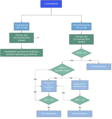 Targeted Interventions to Increase Blood Pressure and Decrease Anaesthetic Concentrations Reduce Intraoperative Burst Suppression: A Randomised, Interventional Clinical Trial